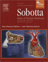 Sobotta - Atlas of Human Anatomy Single Volume Edition, 14e **