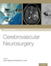 Cerebrovascular Neurosurgery